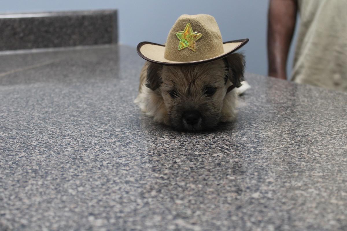 The entire Critter Fixer Veterinary Hospital team gathered outside the facility