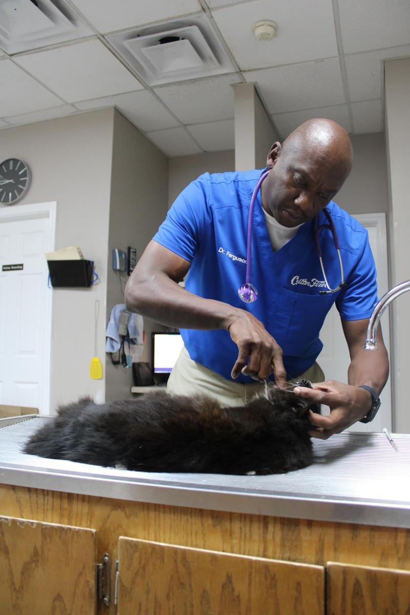 A happy dog visiting Critter Fixer for a vaccination appointment