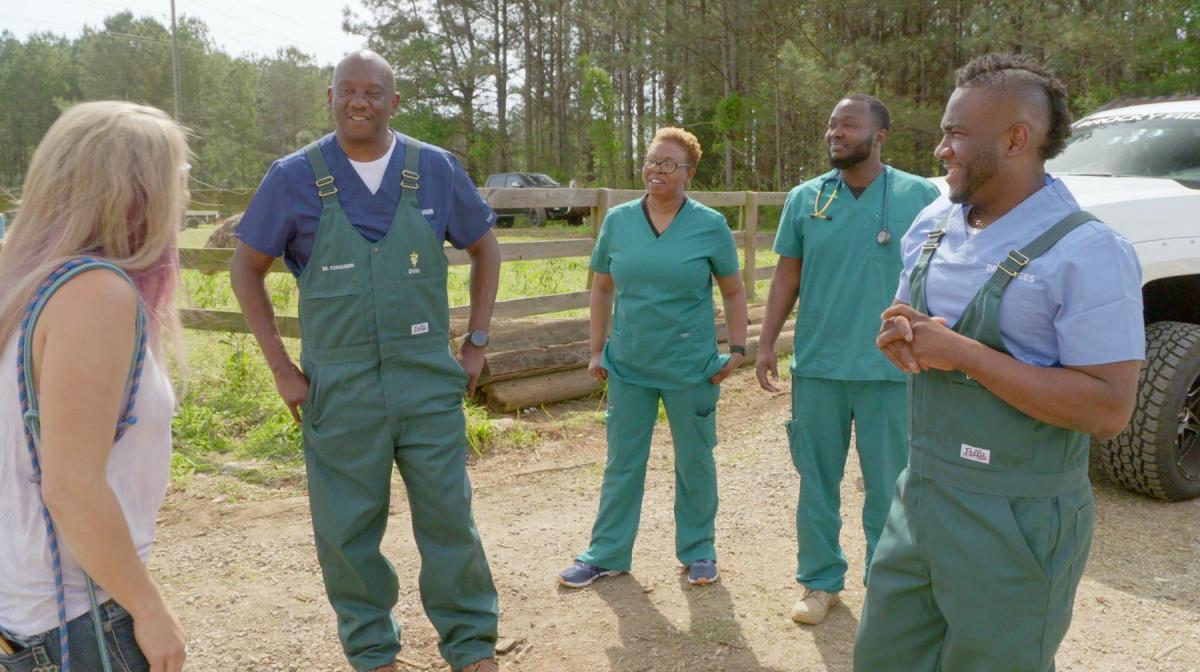 Veterinary technicians preparing surgical equipment in the operating room