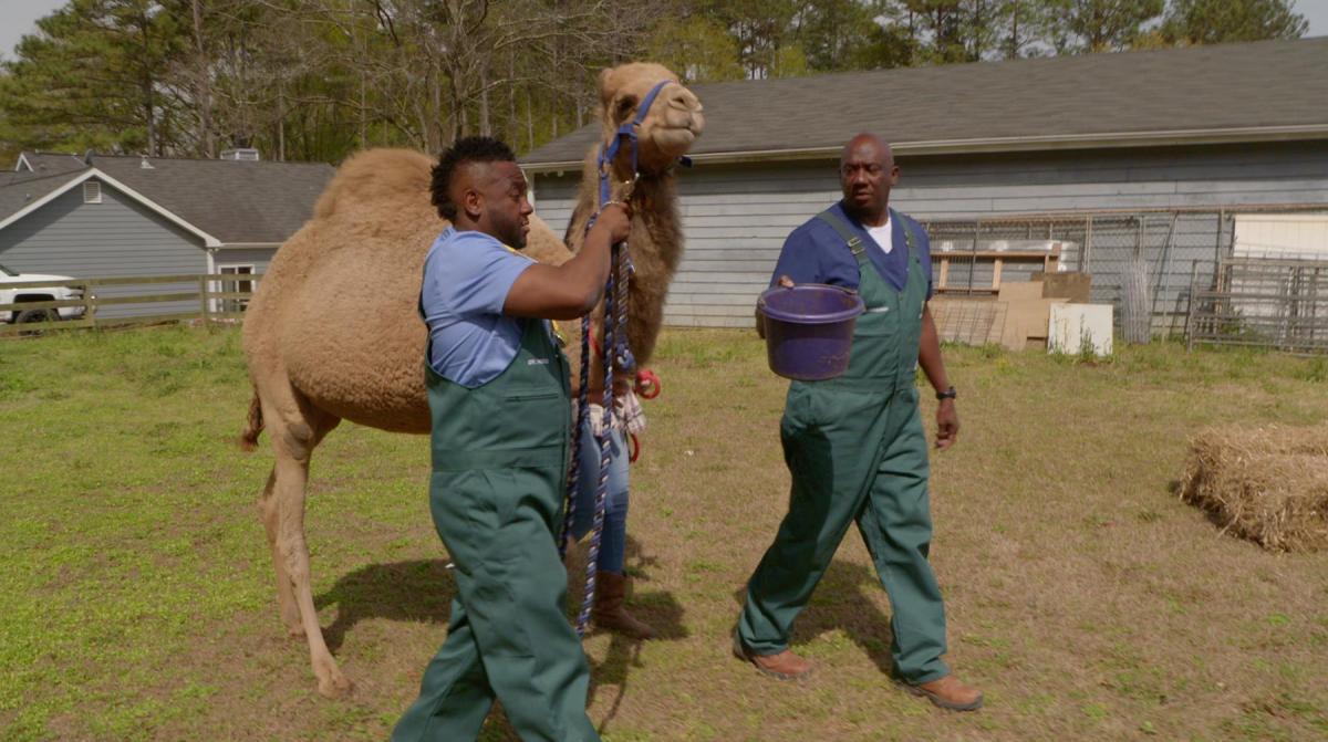 Dr. Ferguson reviewing digital radiography images with a pet owner
