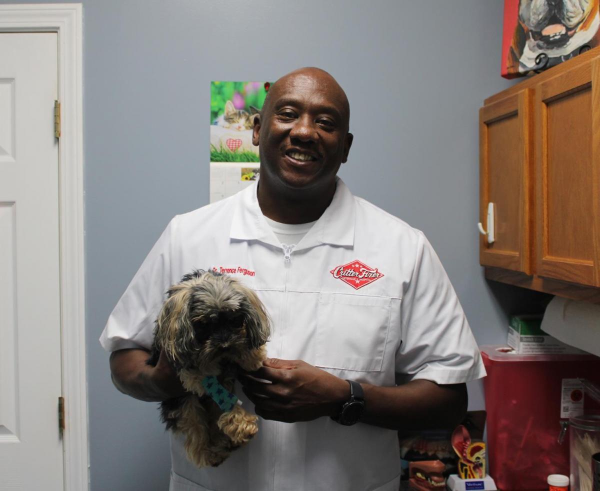 Playful kittens receiving their first wellness exam at the clinic